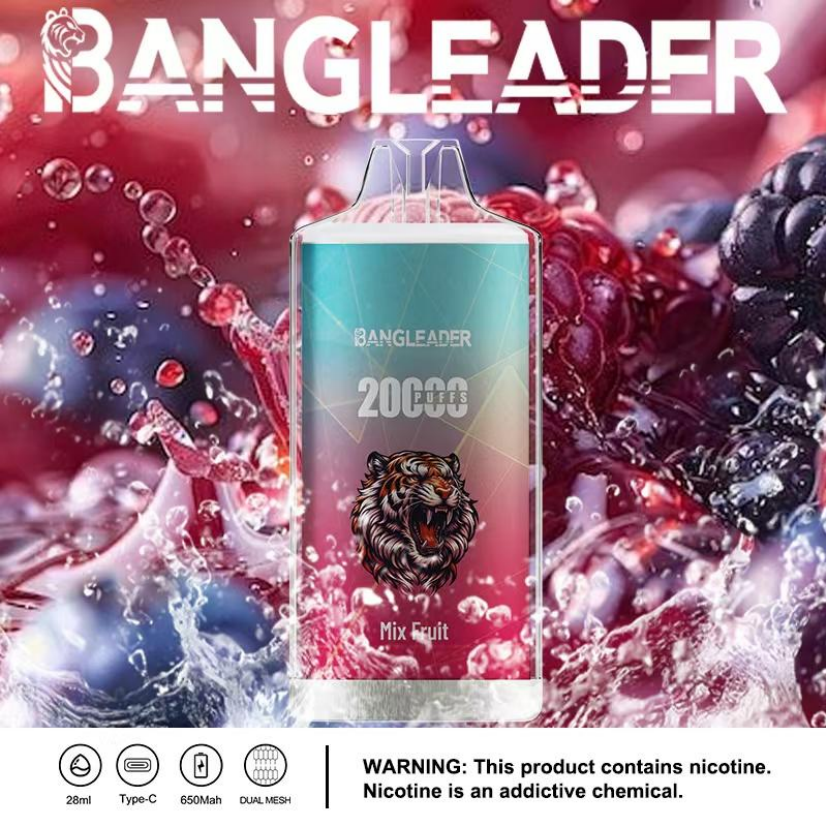 Bang Leader 20000 Puffs Vape Type-C Rechargeable