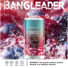 BANG LEADER 20K Puffs Vape Wholesale Portugal