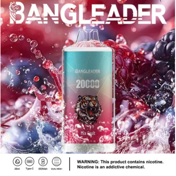 Bang Leader 20000 Puffs Vape Type-C Rechargeable