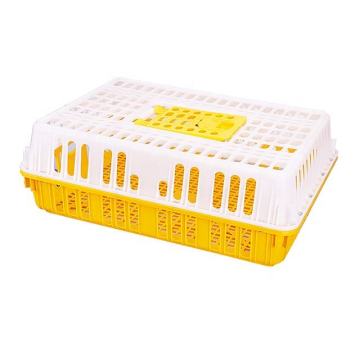 Plastic Poultry Transport Crates and Chicken Boxes