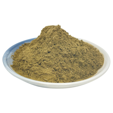 Aiye Leaf Extract Powder