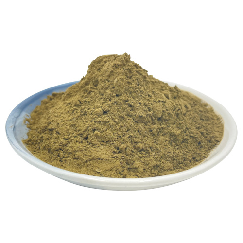 Aiye Leaf Extrait Powder