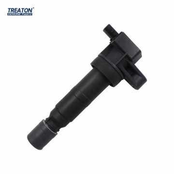 Treaton Auto Parts OEM 273013C000 27301-3C000 Ignition Coil for SanTa Fe 2005-2019