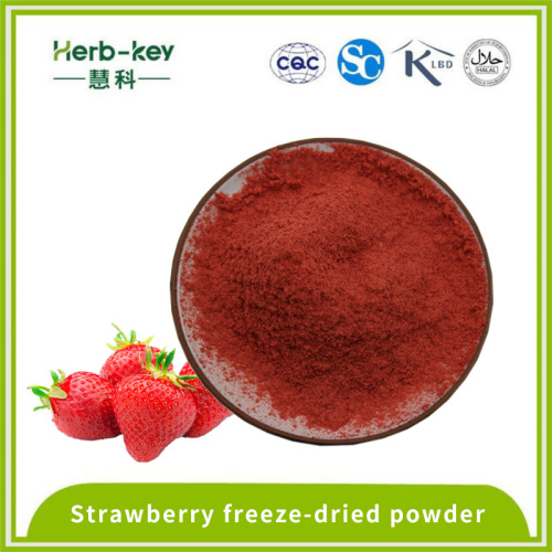 Poudre de fraise solide 30% polyphénols de fraise