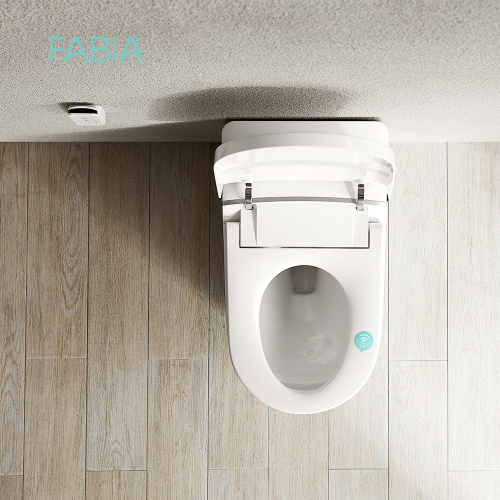 China Blue Color Bathroom Smart Toilet Bowl With Bidet Manufactory