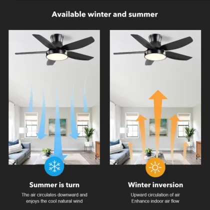 Copper Motor Modern Ceiling Fan Lights for Home Decoration