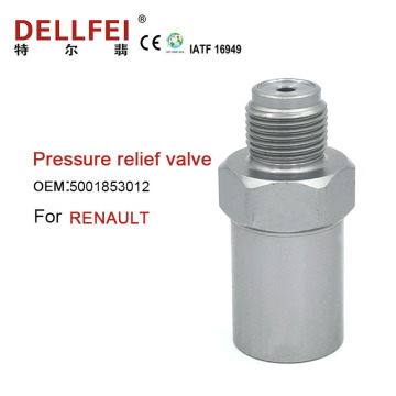 Engine parts Fuel Pressure Relief Valve 5001853012
