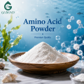 Ingrediente de nutrición funcional en polvo complejo de aminoácidos