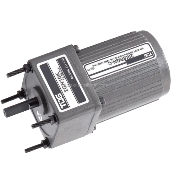 0.2 HP Low RPM AC Electric Brake Motor