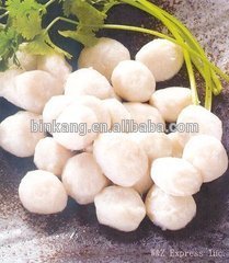 professional small meatball making machine/fishball making machine