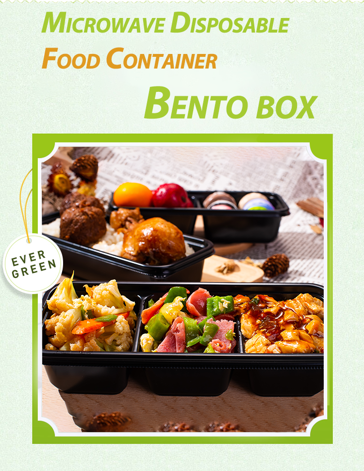 Disposable takeout bento box packaging microwavable