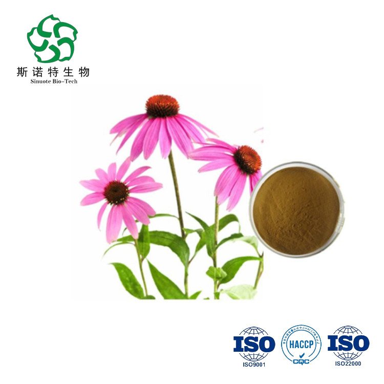 Echinacea Purpurea Extract