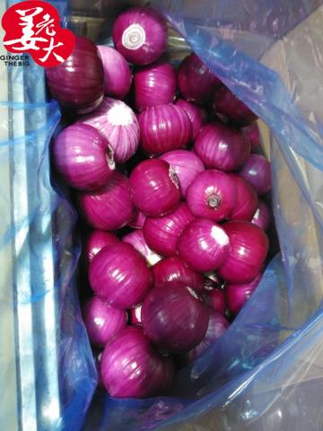Fresh Peeled Red Onions