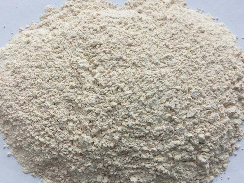 GARLIC POWDER 80-100 MESH