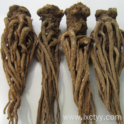 angelica acutiloba root extract