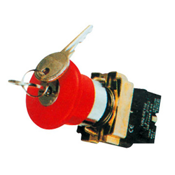 Push Button switch