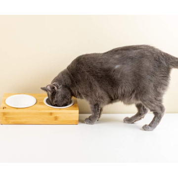 Mesa de mascotas de bambú elevada con dúo.