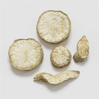Radix Trichosanthis Snakegourd Root tianhua fen