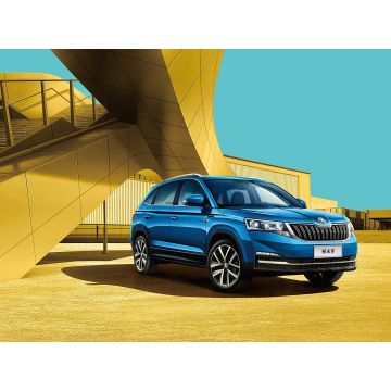 2025 Kamiq 1.5L Auto Envily Edition