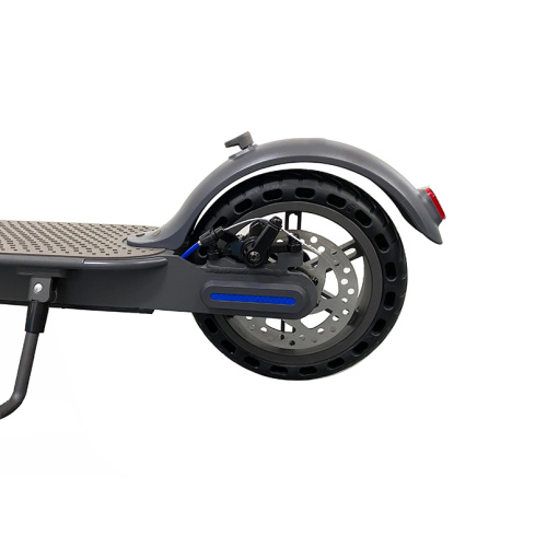 New Design OEM Citysports Electric Scooter