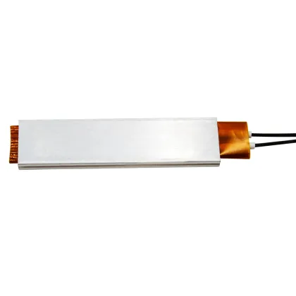 110V/220V/12V PTC Heater for DIY Egg Incubators