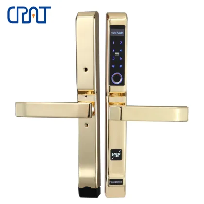 Fingerprint Digital Password Electronic Smart Door Lock