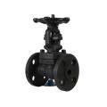 DN25-DN300 Forged steel gate valve