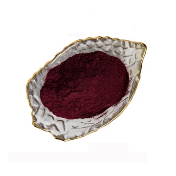 Manufacter supply elderberry fruit extract 15% anthocyanin powder natural