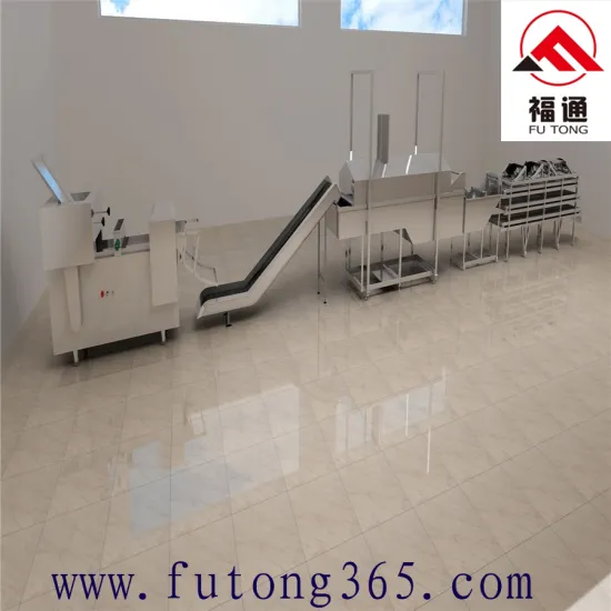 Chinese Multi-functional Cake Processing Line