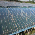 120 Micron UV resistant Agricultural Greenhouse Film