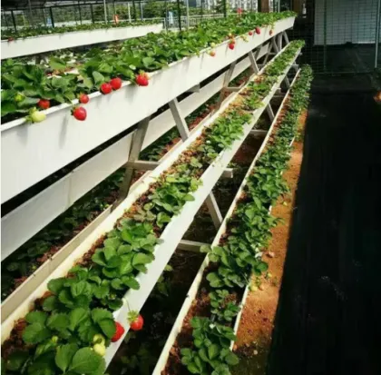 Custom NFT Channel for Hydroponics and Anti-UV PVC Gully