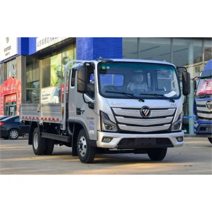 Used Electric Foton Cargo Truck for Sale