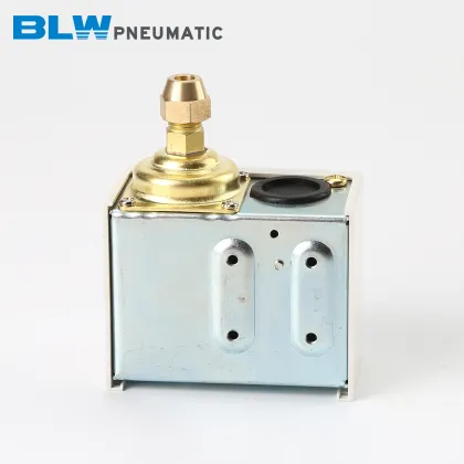 Pneumatic Pressure Controller SSNS-110 Boiler Switch 10 kg Adjustment Pressure Switch