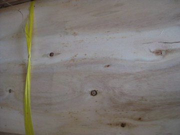 eucalyptus core veneer