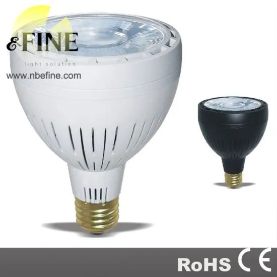 30W COB PAR30 led bulb CE ROHS