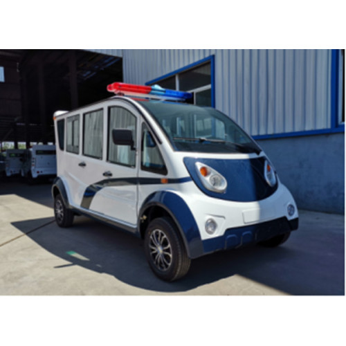 cheap electric sightseeing cars