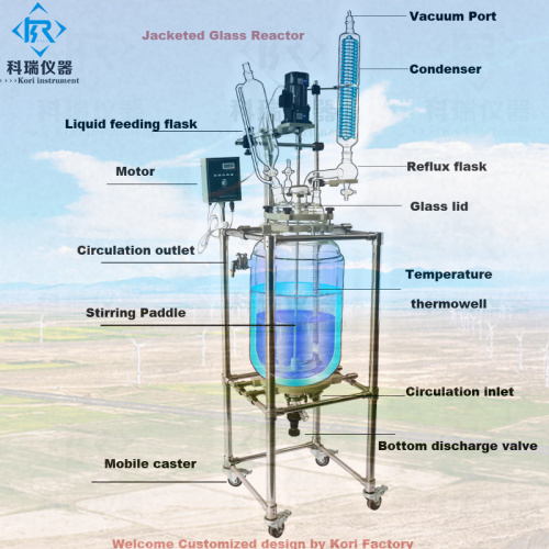 Réacteur en verre de laboratoire chimique de prix d&#39;usine 10L