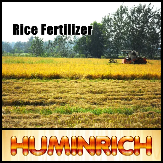 Huminrich Shenyang Promote Rice Growth Organic Golf Course Fertilizer