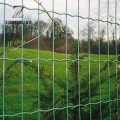 Κήπος συγκολλημένος Wavy Holland Euro Fence