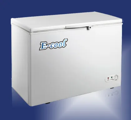 Top Open Freezer