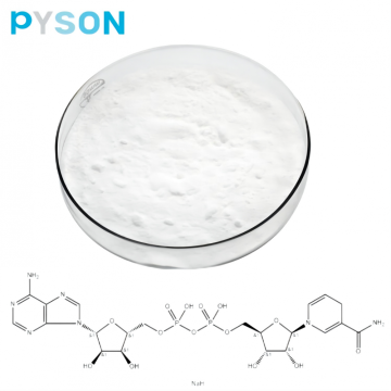 Polvo de CAS 606-68-8 NADH