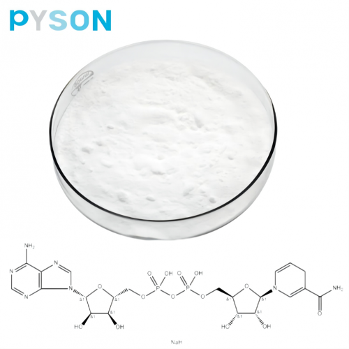 CAS 606-68-8 NADH порошок