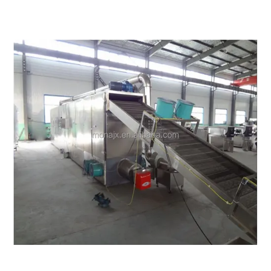 Multi-layer Conveyor Mesh Belt Dryer: An Efficient Drying Solution for Post-Press Equipment