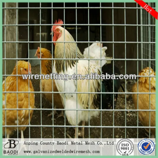 powder coated welded wire mesh panel