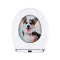 DUROPLAST TAPELATEM SOFT FELHE RELANÇO RÁPIDO (CORGI)