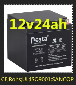 Neata UPS Battery AGM Lead Acid Battery 12V 24AH