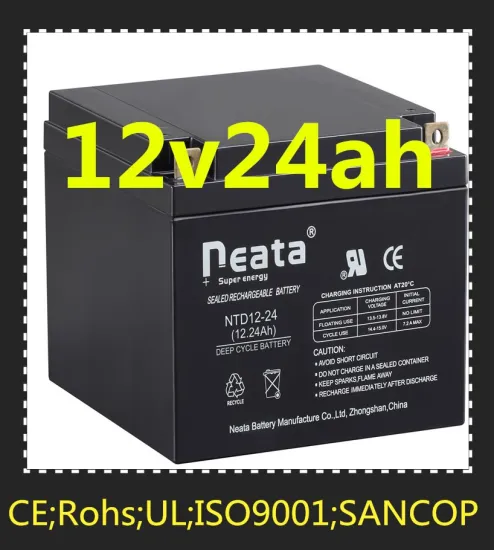 Neata 12V Toy car battery/Lead acid battery/12v24ah UPS battery
