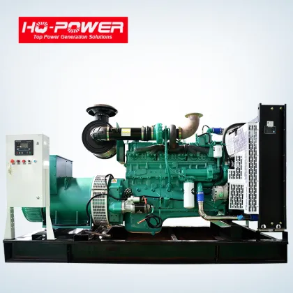 250KW Brand New Diesel Powered Generator Free Ship to WorldWide