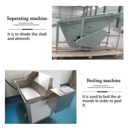 Almond and Cashew Nuts Processing Equipment Line