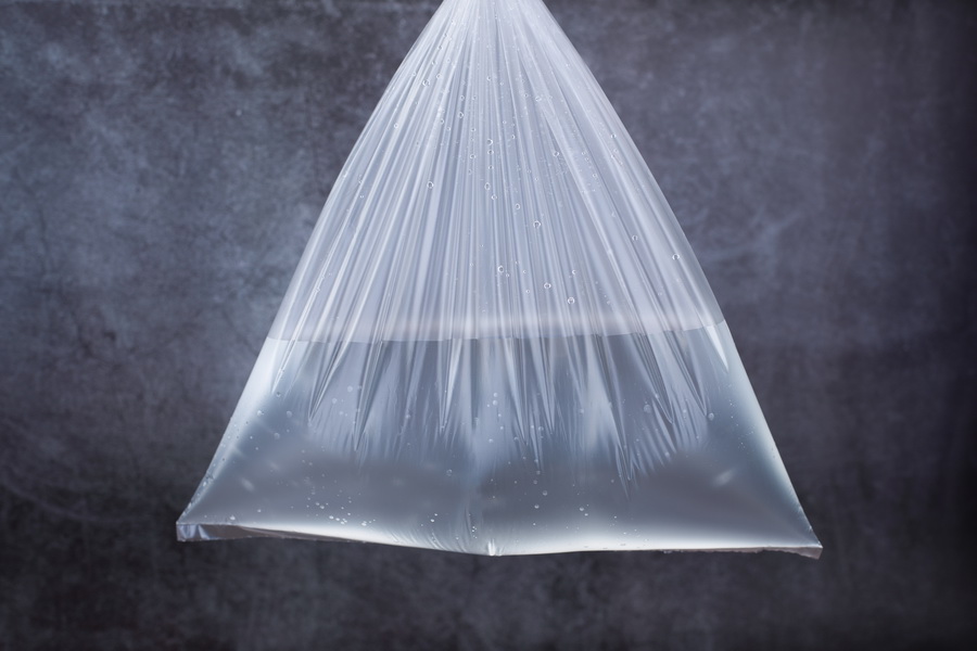 PP Clear Flat bag Food Bag